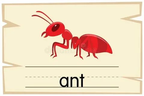 Шторы по английски произношение