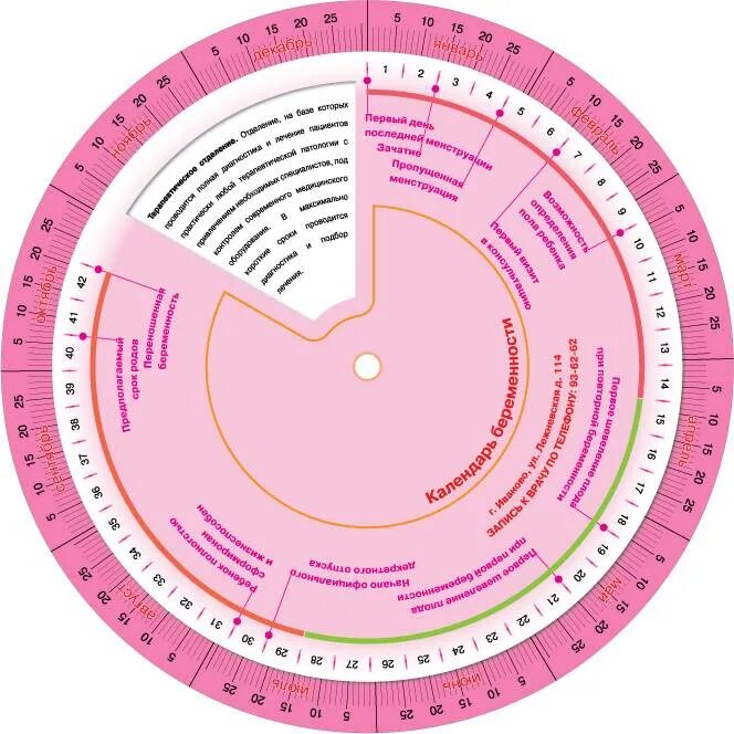 Круг гинеколога для определения срока беременности. Линейка для определения срока беременности. Календарь беременности круглый. Календарик беременности круглый.