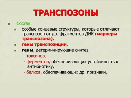 Состав особо