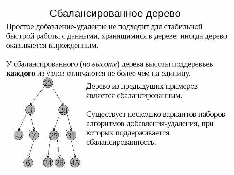 Деревья. Терминология