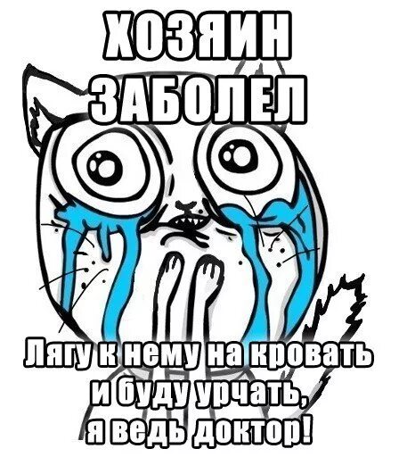 Заболел хозяин. Мемы про заболел. Приболел Мем. Мемы приболел. Девочка заболела мемы.