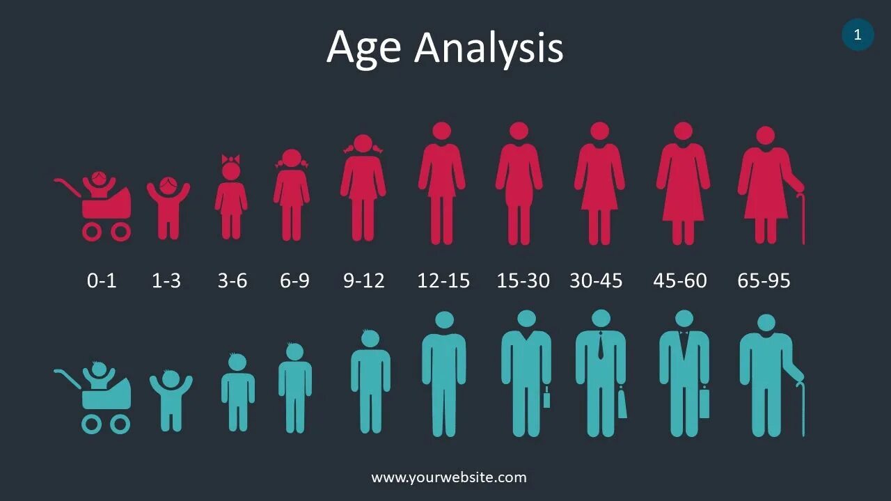 Age Groups. Age Analysis. Age Groups in English. Age Groups Definitions. Group definition