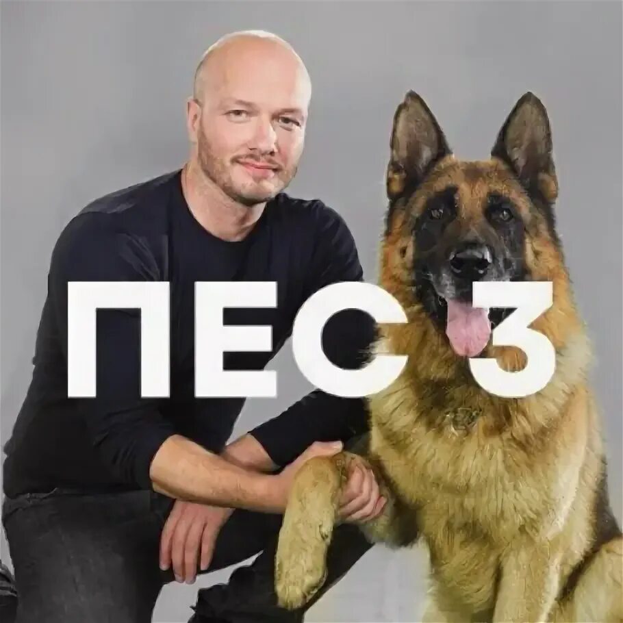 Пес 3 продолжения