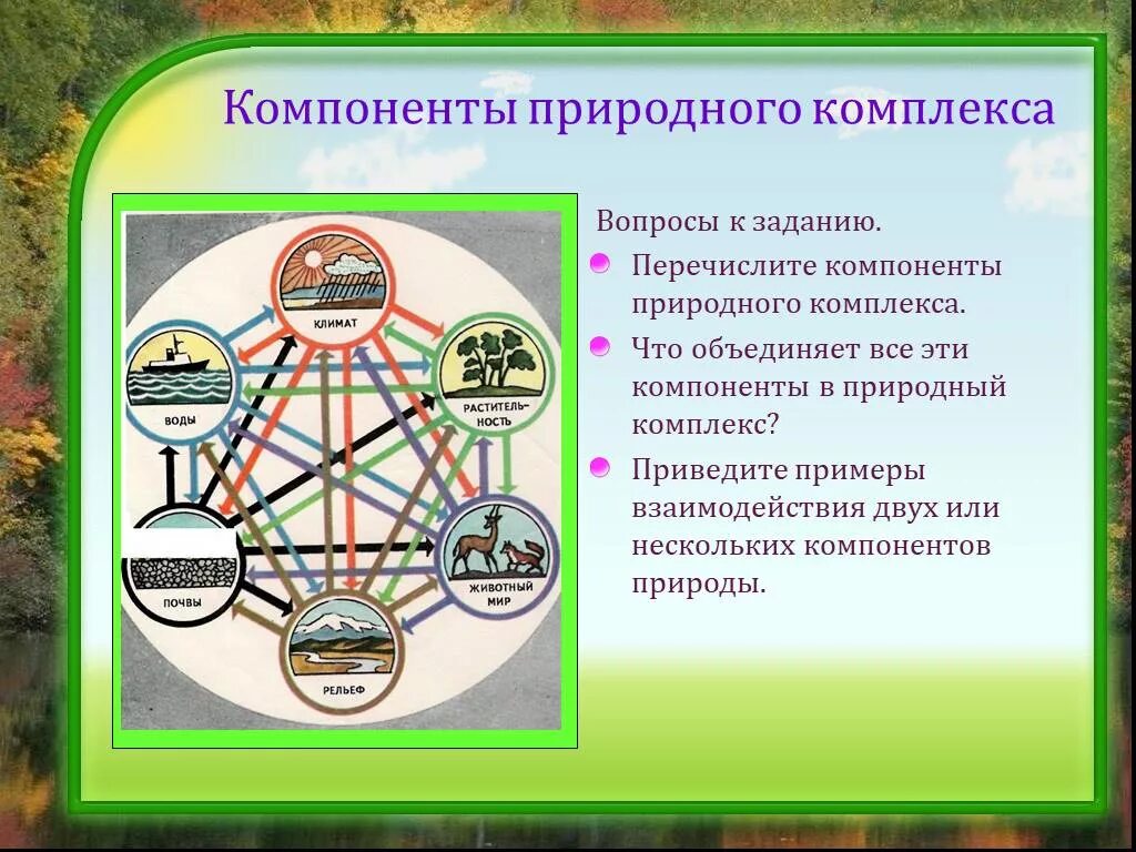 Схема природного комплекса. Взаимодействие компонентов природы. Компоненты природного комплекса. Взаимосвязь элементов природы.