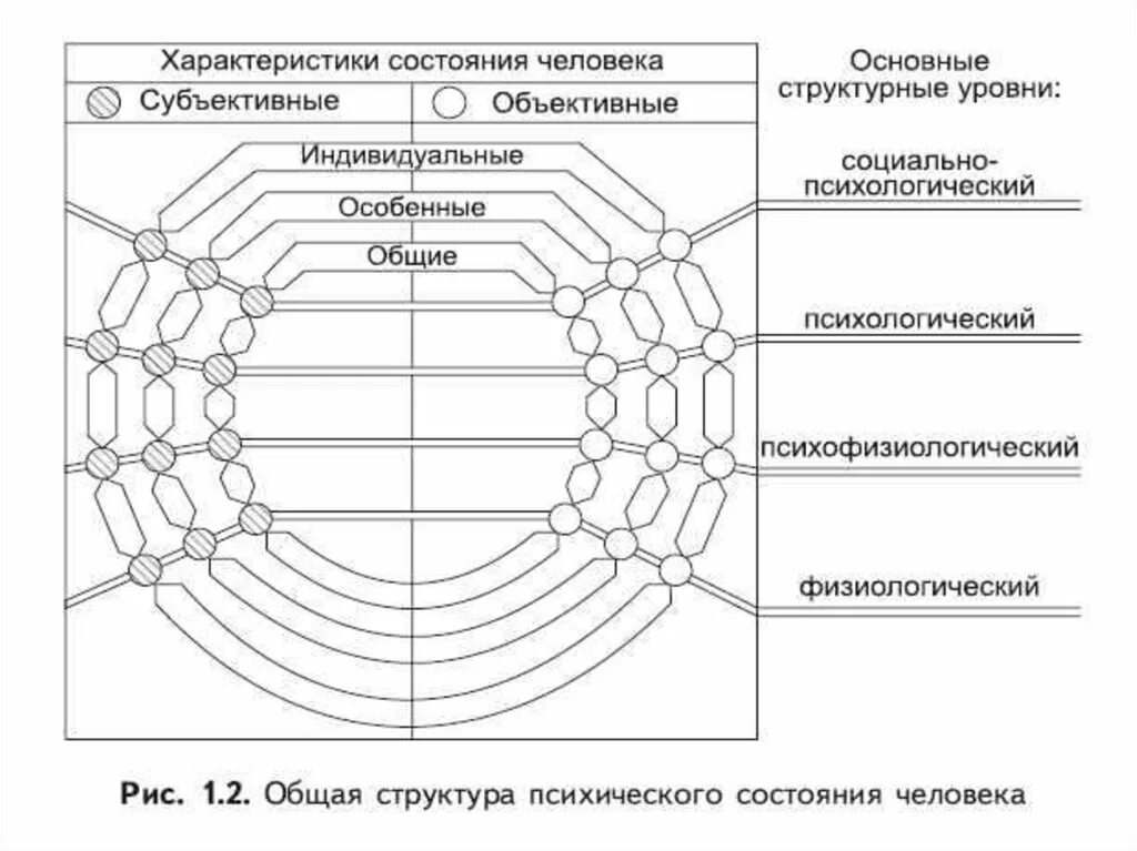 Структура состояние движение. Структура психических состояний. Структура психического состояния (в.а. Ганзен).. Психофизиология функциональных состояний схема. . Психофизиология человека структура состояний.