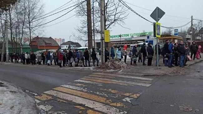 Очередь на маршрутку. Забастовка автобусов в Москве. Очередь на автобус голубое Зеленоград. Очередь в голубом на автобус.