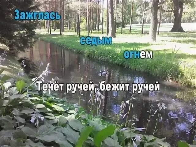 Ведь жизнь бежит течет. Течёт ручей бежит ручей. Течет ручей караоке. Течёт ручей бежит ручей слова. Кадышева течет ручей.