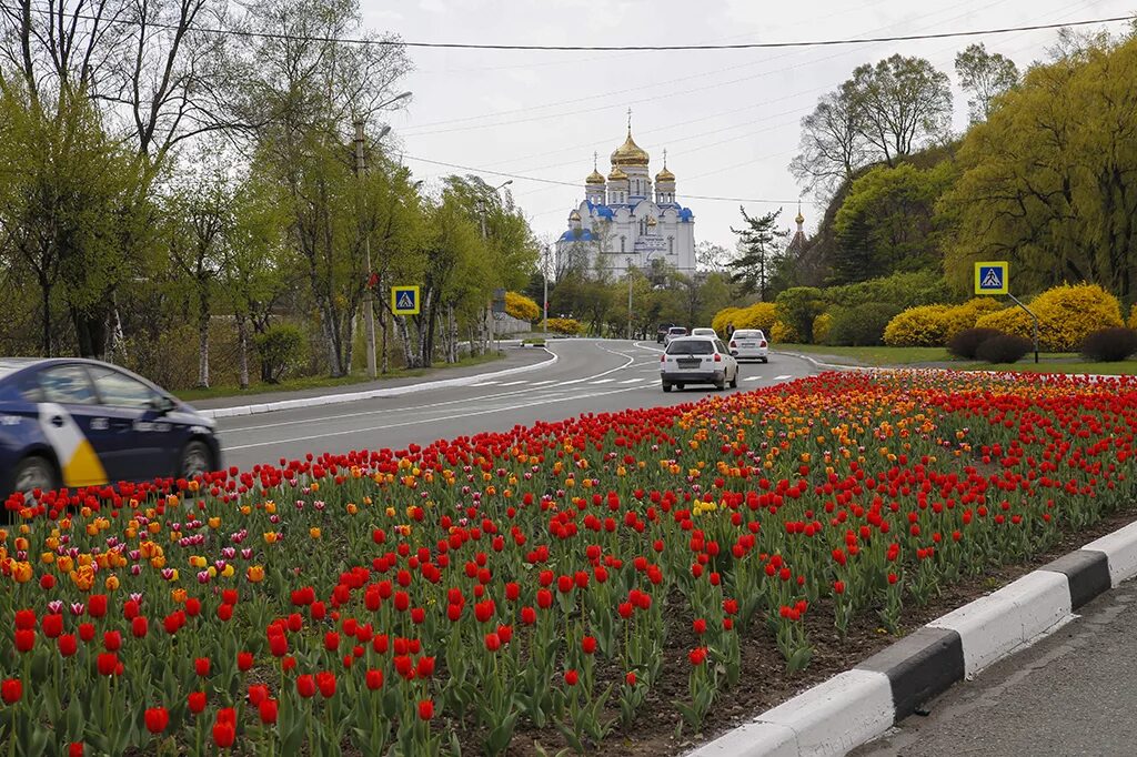 Город находка Приморский край парк. Город находка городской парк. Город находка площадь совершеннолетия. Скверы города находка Приморский край. Приморский край победы