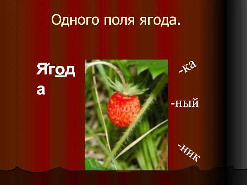 Слово ягода по слогам. Одного поля ягоды. Со словом ягода. Предложение на слово ягода. Предложение со словом ягода.