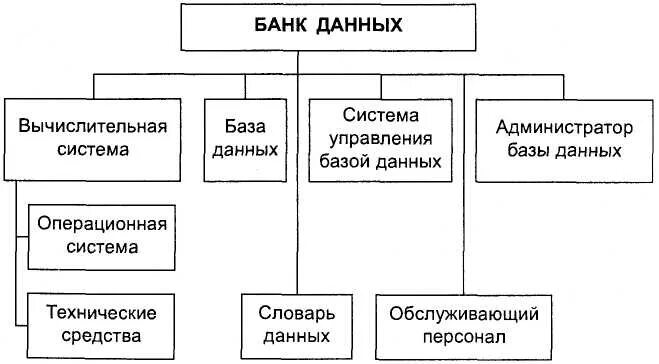 Назначение банков данных. Банк данных состав схема. Состав банка данных. Схема общей структуры банка данных. Понятие базы и банка данных..