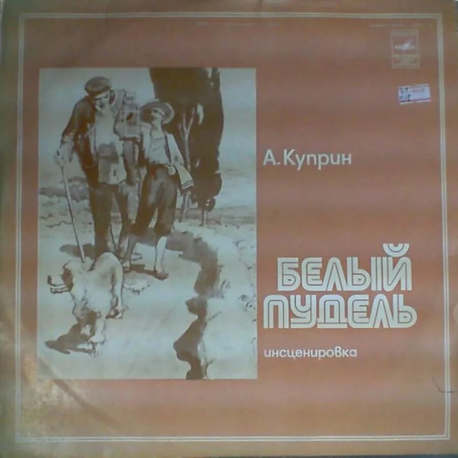 Белый пудель куприн иллюстрации. Белый пудель аудио. Белый пудель аудио. Иллюстрация к рассказу куприна белый пудель. А.