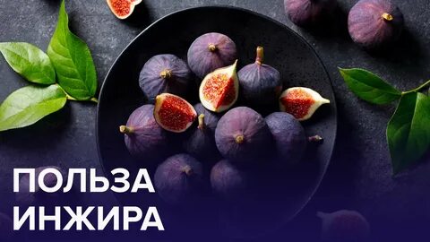 Полезные и вредные свойства инжира