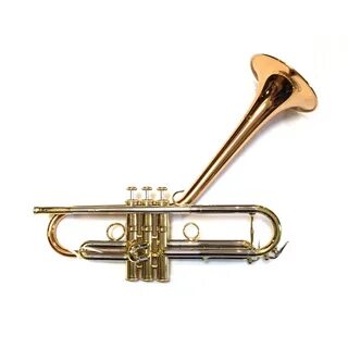 Trumpet перевод