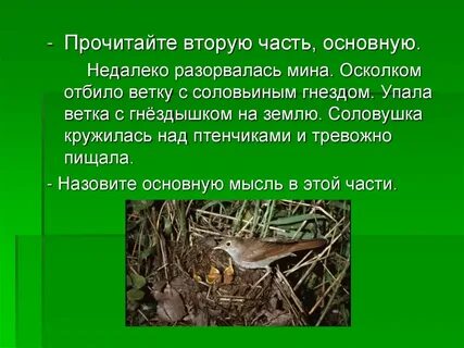 Гнездо главная мысль