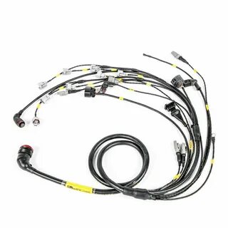 Custom Engine Wiring Harnes - Wiring Diagram