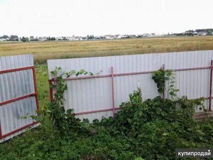 Авито поныри недвижимость в понырях