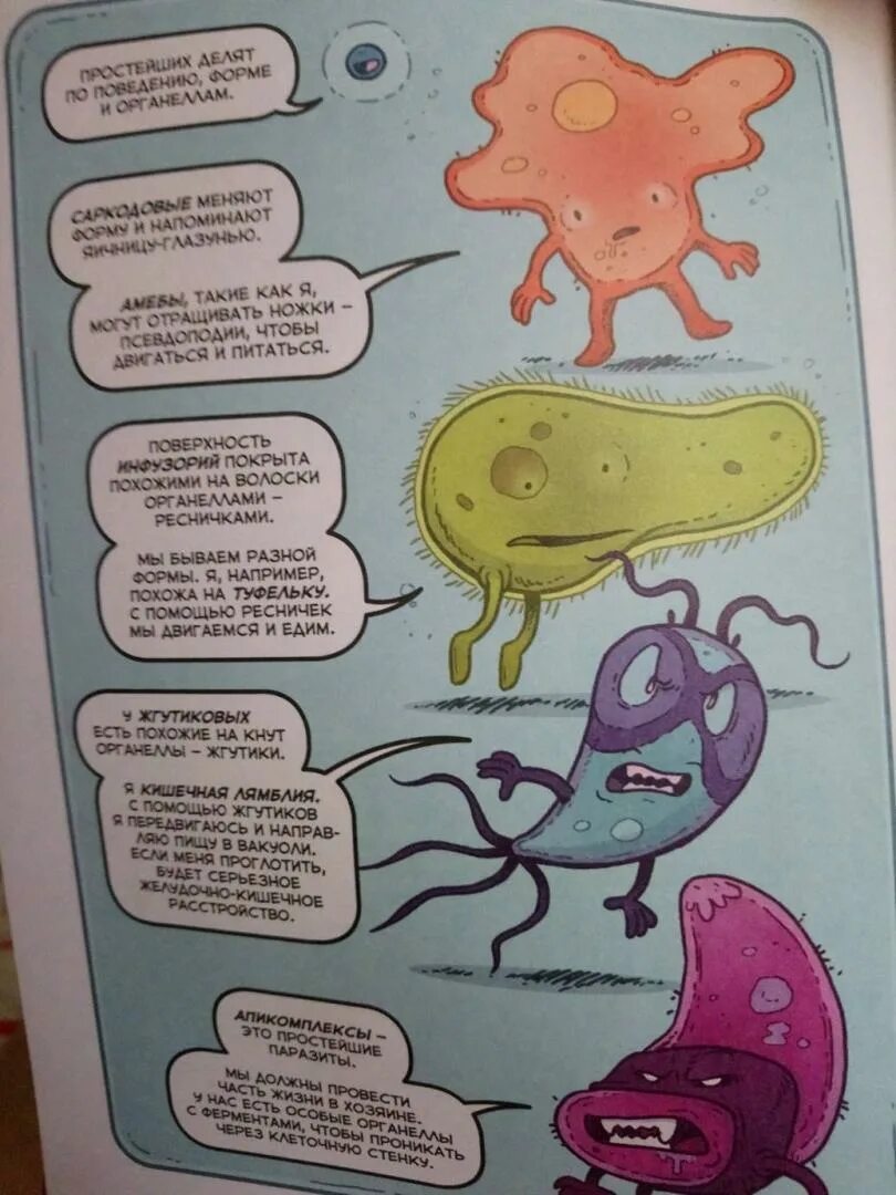 Книги про вирусы. Вирусы и микробы Фалинн Кох. Вирусы и микробы научный комикс. Комикс про микробов. Книги про вирусы для детей.