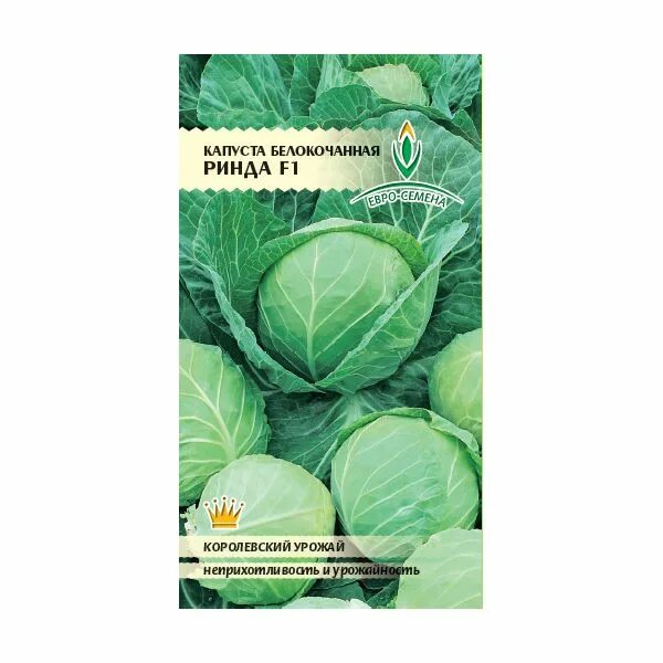 капуста ринда f1 характеристика. огурец ринда семена. капуста ринда f1 описание сорта. капуста сорт ринда. капуста ринда f1 характеристика.