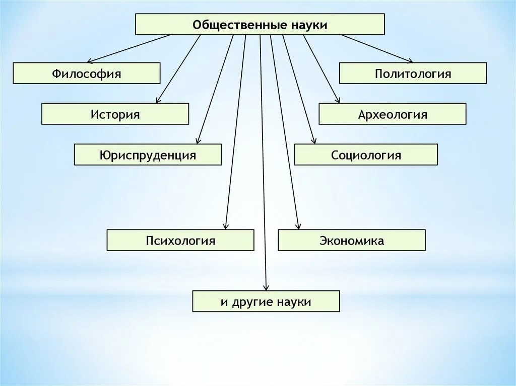 ТГП В системе юридических наук схема. Какие науки относятся к общественным наукам