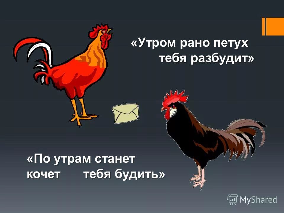 стихотворение про петушка. кочет петух это диалектизм. петушок золотой гребешок стишок. кочет петух. петухи запели.