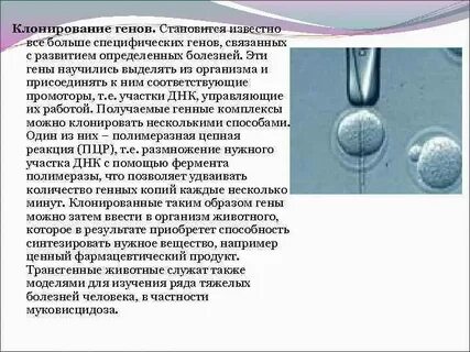 Клонирование данных