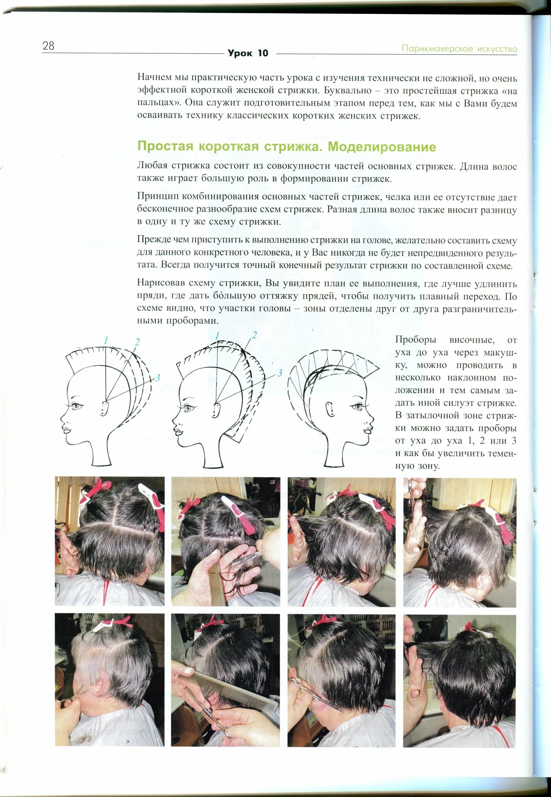 Технология выполнения стрижки Каскад со схемами. Технология выполнения стрижки Боб. Технология стрижки Каскад на короткие. Схема короткой женской стрижки. Женские стрижки техника выполнения. Технология выполнения стрижки Каскад со схемами. Технология выполнения стрижки Боб. Технология стрижки Каскад на короткие. Схема короткой женской стрижки.