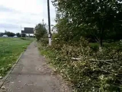 Кубань выселки