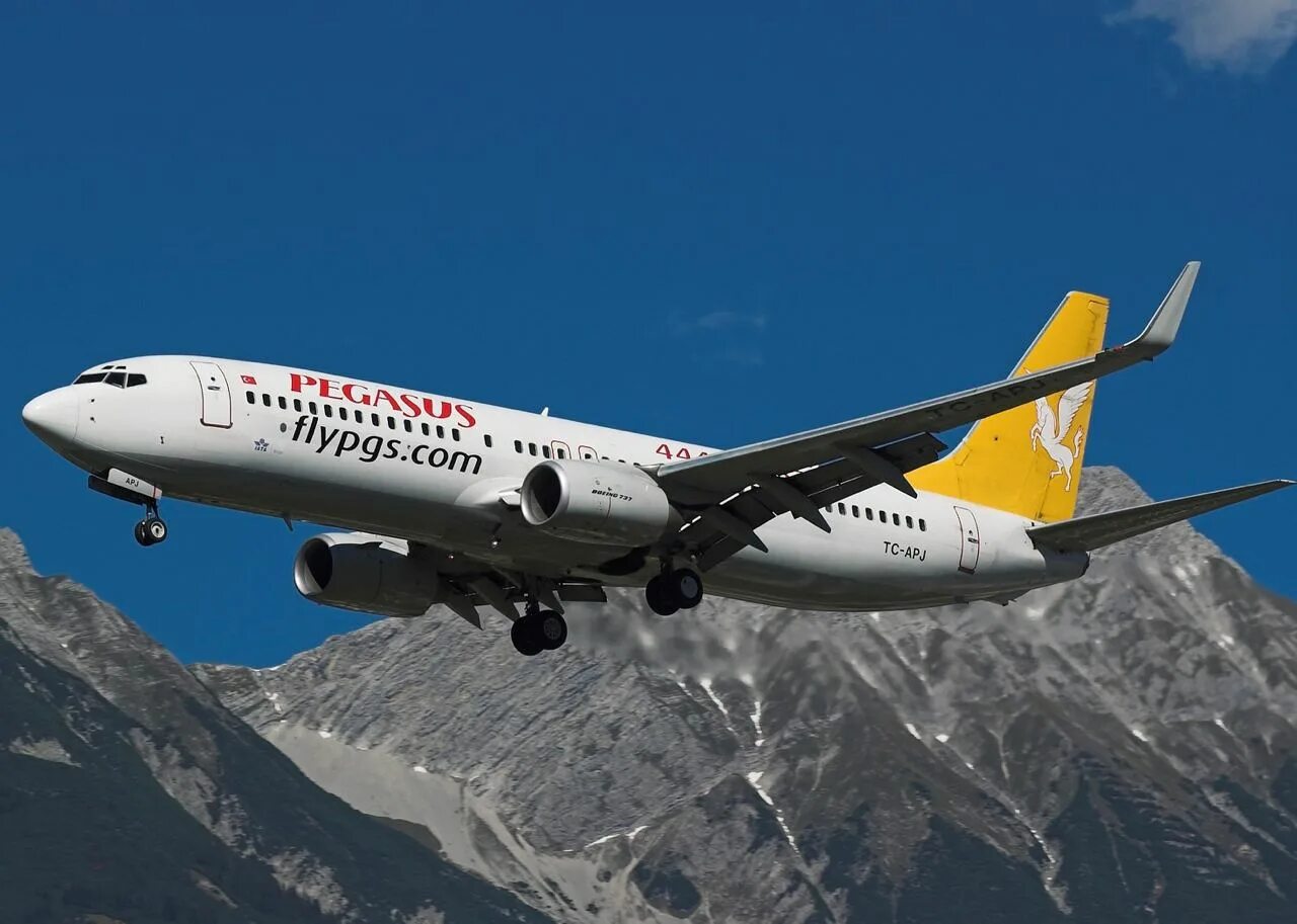 Купить авиабилет на самолет пегасус. Турецкая авиакомпания Pegasus Airlines. Авиакомпания Пегасус Эйрлайнс. Пегасус Эйрлайнс самолеты. Пегасус Аирлинес авиакомпания.