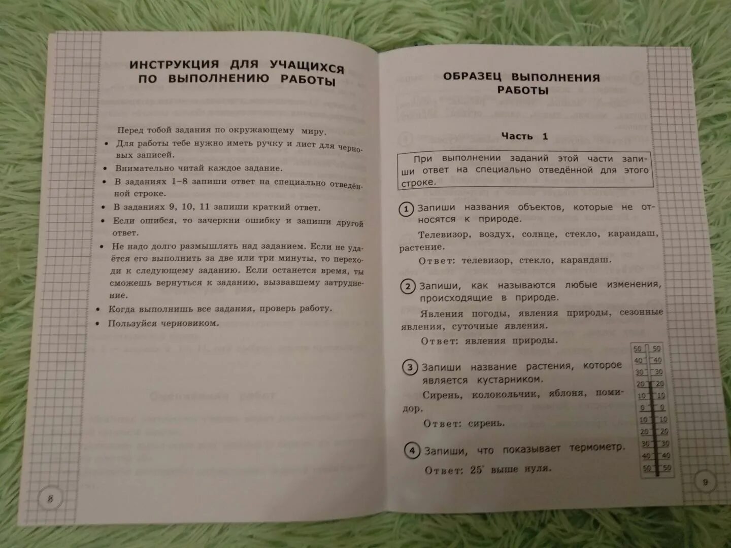 Впр рус 3 класс. ВПР по русскому языку 2. Задания ВПР русский язык. ВПР по русскому языку 2 класс с ответами. Русский язык 3 класс типовые задания.