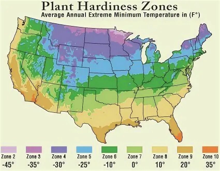 Hardiness Zone USA. Hardiness Zone Map. USDA: шестая зона. Climate Zones of the USA.