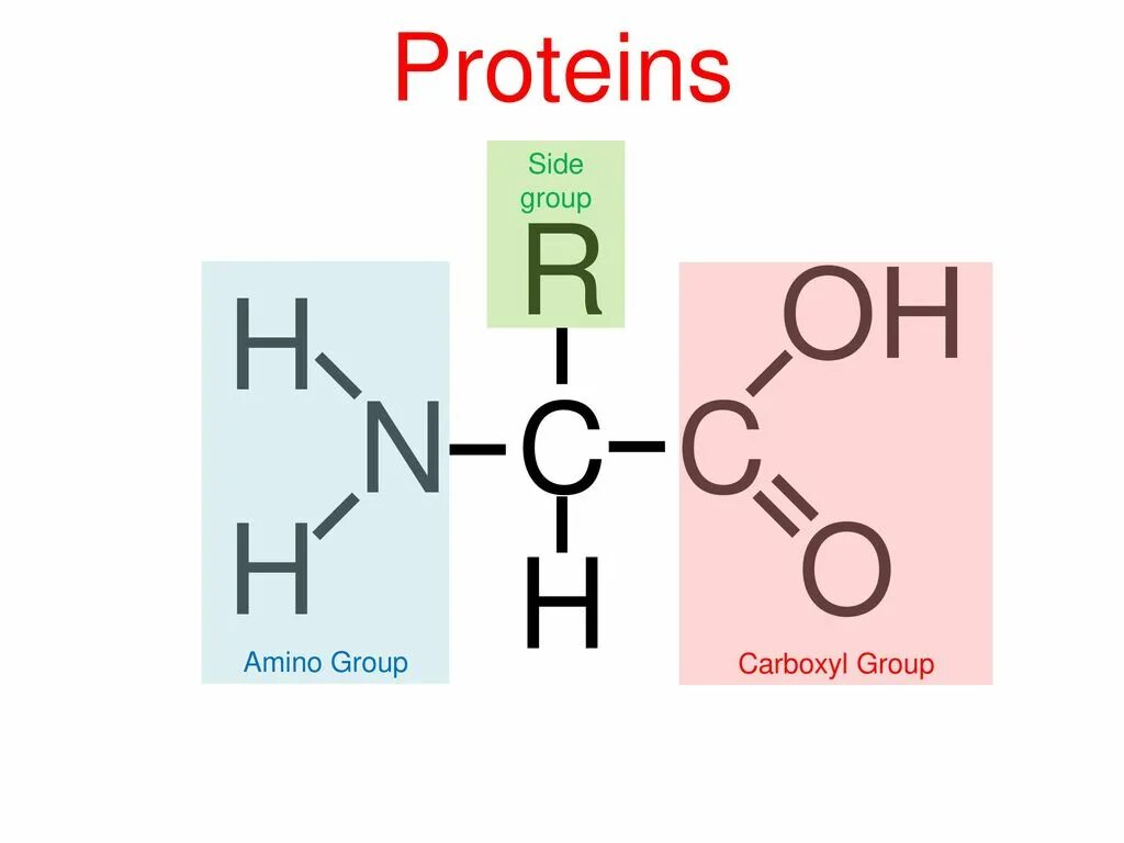 5 oh группой. Amino Group. Carboxyl Group. Аминокислоты с Oh группой. Группа c-o-h.