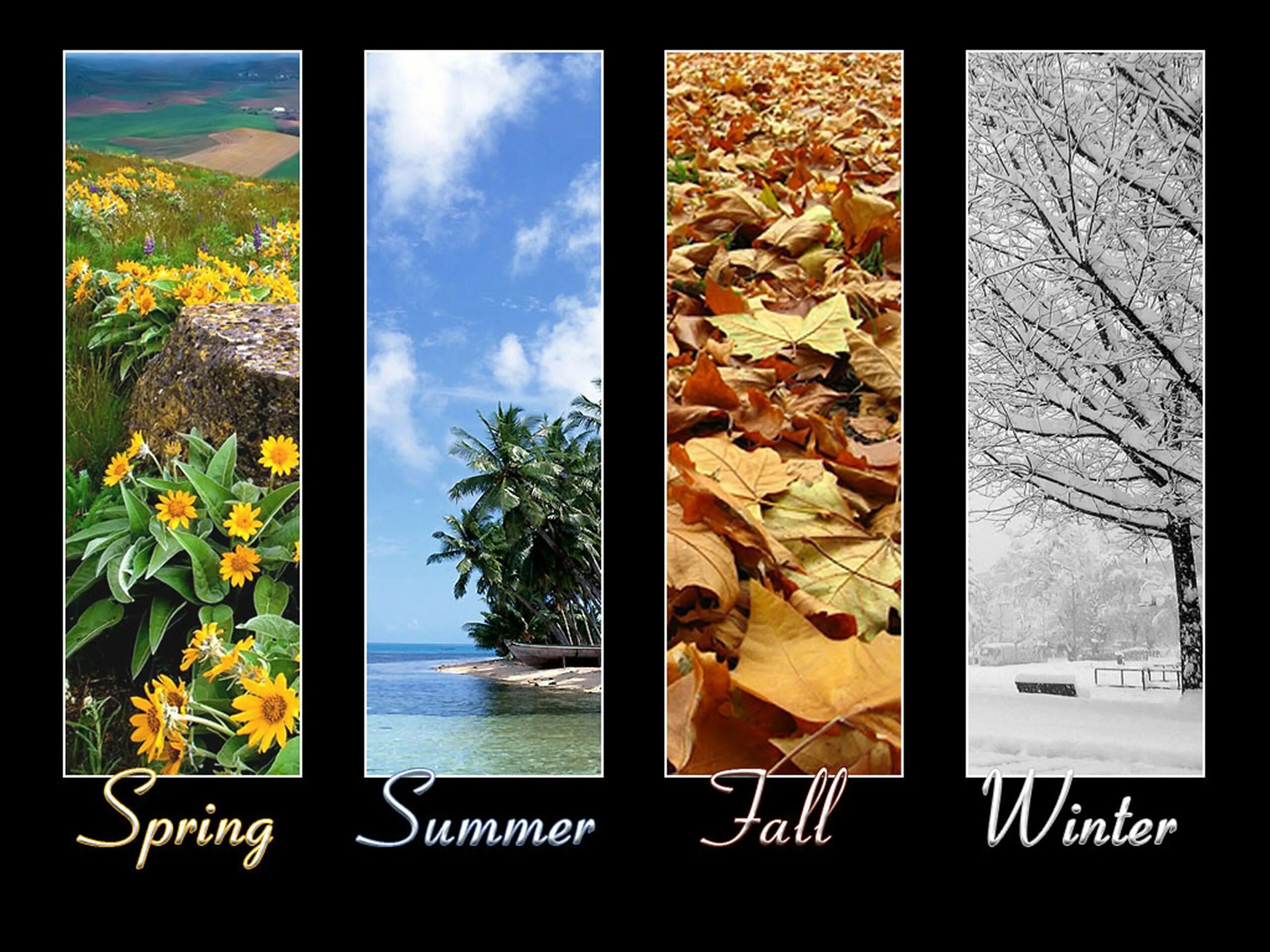 Коллаж 4 времени года. Seasons of the year spring