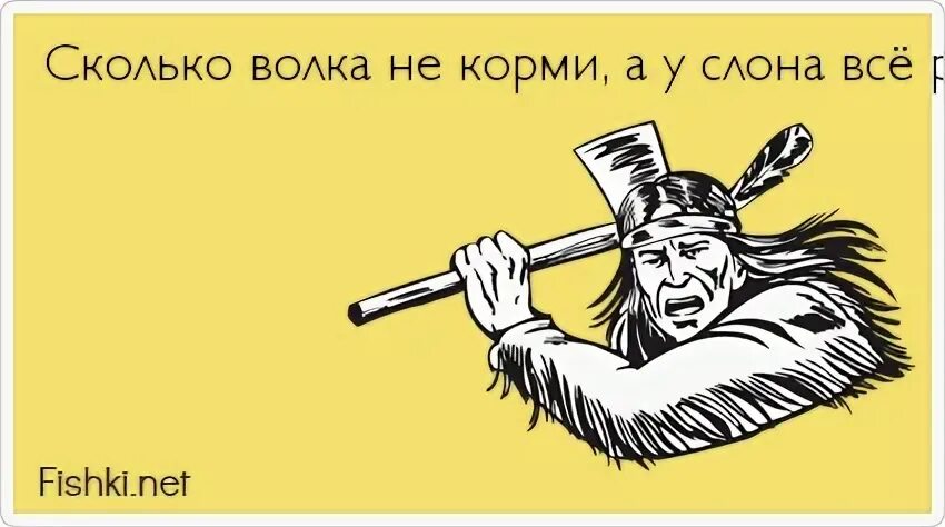 Пословица сколько волка не корми. Сколько волка не корми картинки. Сколько волка не корми все равно. Рисунок сколько волка не корми. Сколько волка не корми а у медведя всё равно толще.