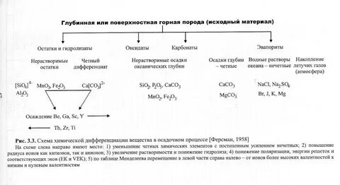 Дифференциация реакции