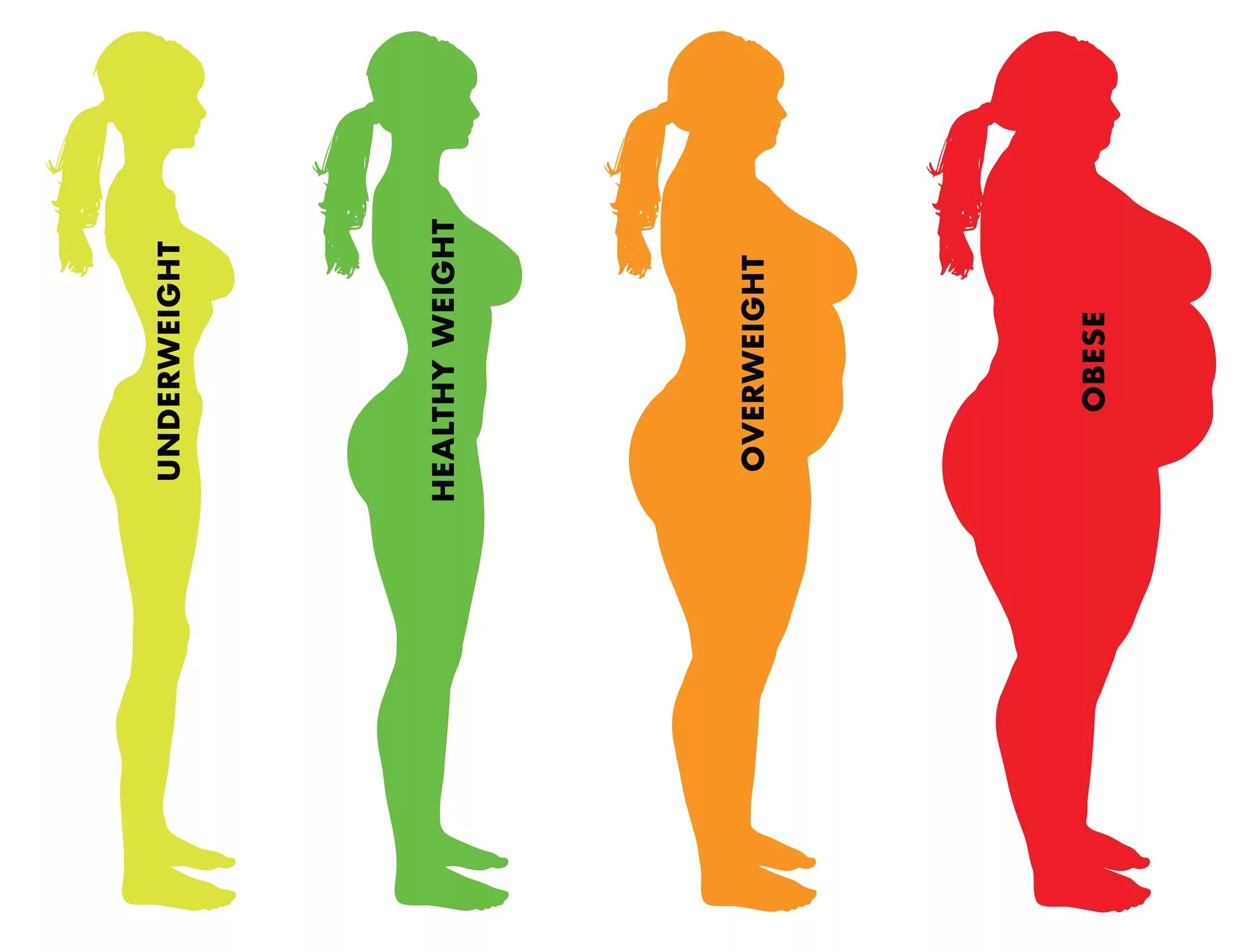 Нормальная женская фигура. Ожирение. Индекс массы тела. ИМТ стройного тела.