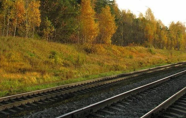 Железная дорога Некрасов. Железная дорога Тютчев. Иллюстрация к стихотворению железная дорога. Иллюстрация к стихотворению Некрасова железная дорога.