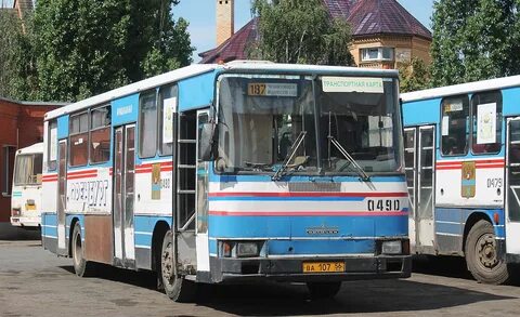 Оренбургская область автобусы