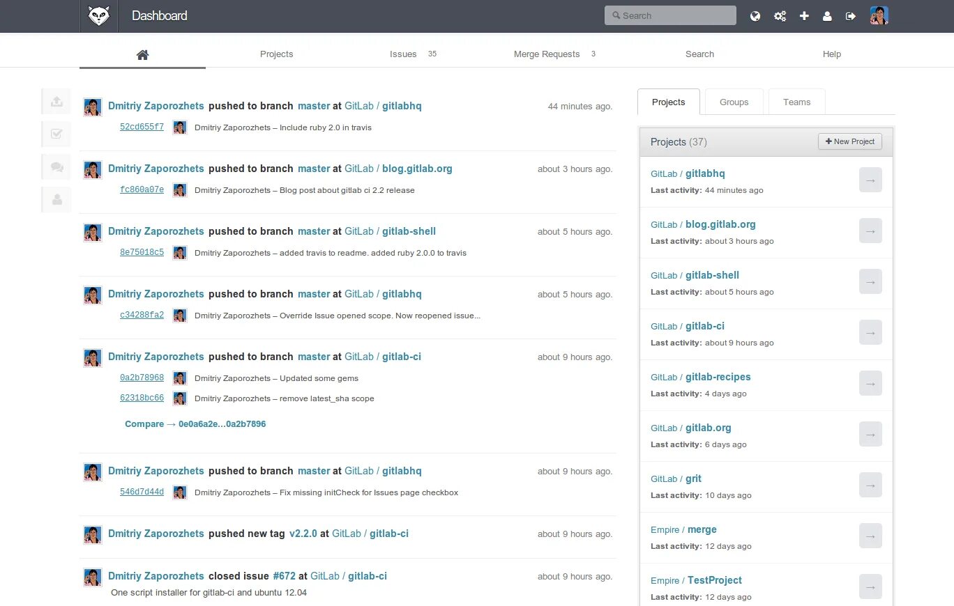 Gitlab protected branches. Gitlab приложение. gitlab метки. gitlab runner. bitnami.