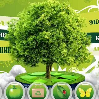 Коралловый клуб здоровья