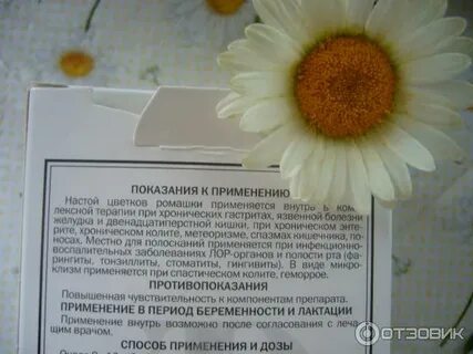 Ромашка для желудка как пить
