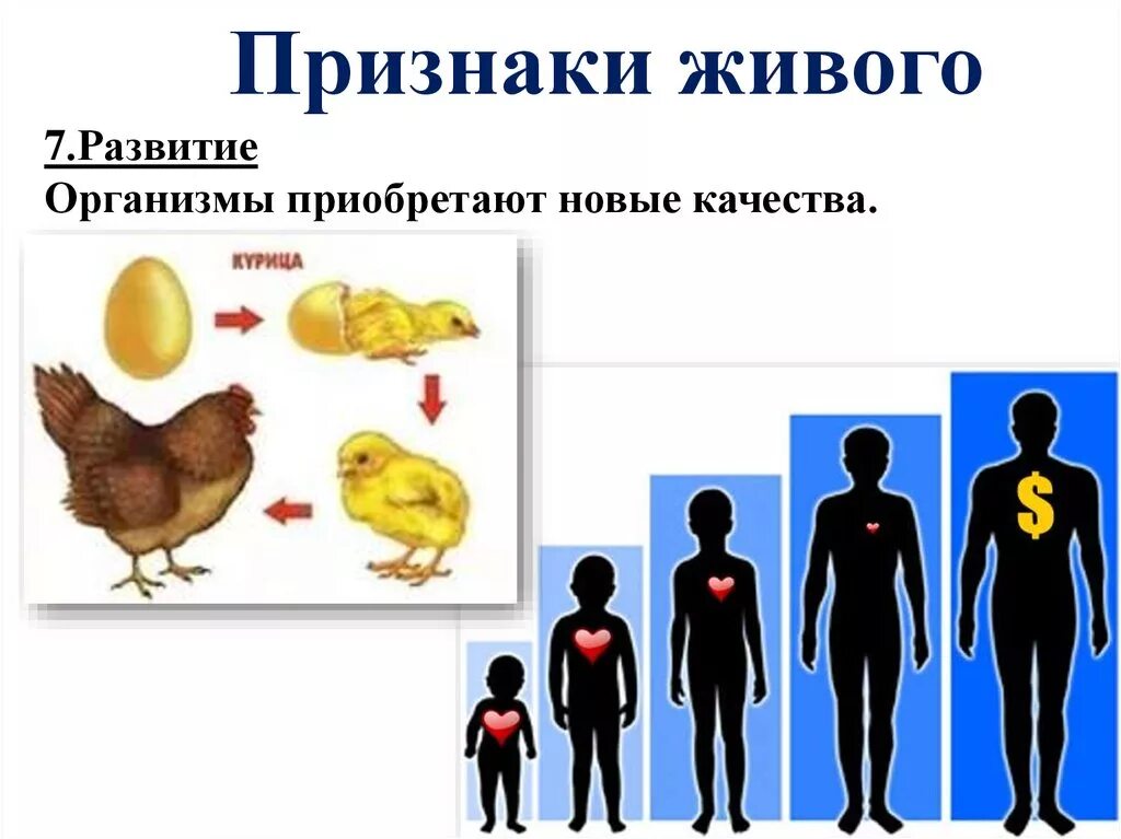 Признаки живого проявляют только. Признаки живого. Признаки живых организмов. Развитие признак живого. Живые организмы развиваются.