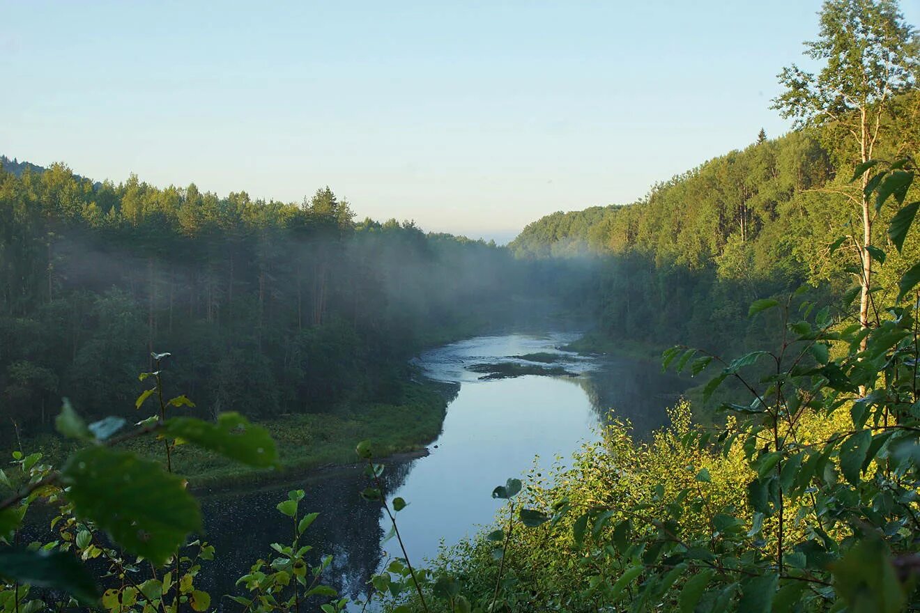 Вепсский лес природный парк река оять. Тихвинский лес. Тихвинский лес. Тихвинский лес. Вепсский лес природный парк река оять.