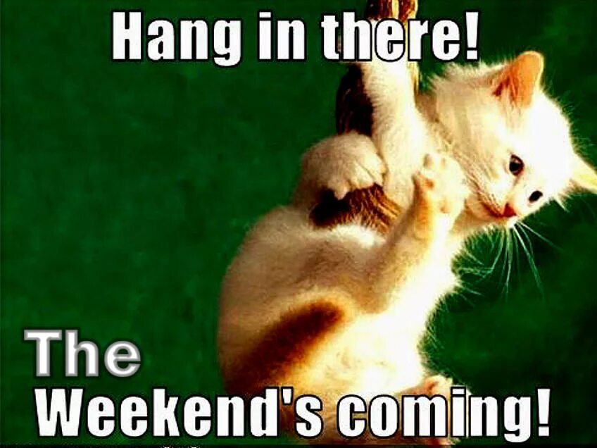 Hang in there. Weekend is coming. Держись hang in there. The (week) end is coming. Coming this weekend