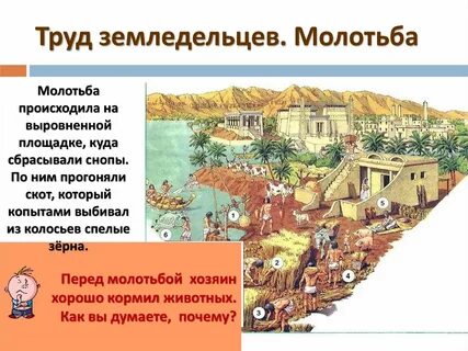 Особенности жизни земледельцев