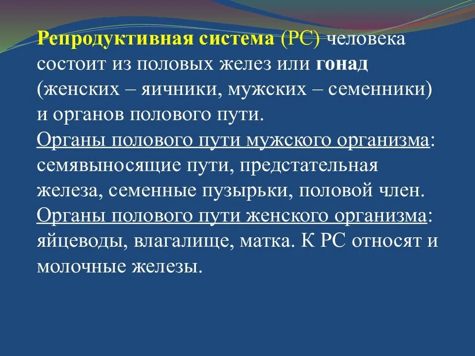 Что составляет репродуктивной системы человека. Репродуктивная система. Редукретивная система. Репродуктивная система человека кратко. Строение и функции репродуктивной системы.