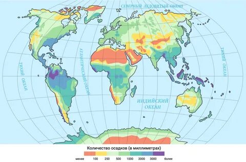 Территория осадков ImmunoCap.ru