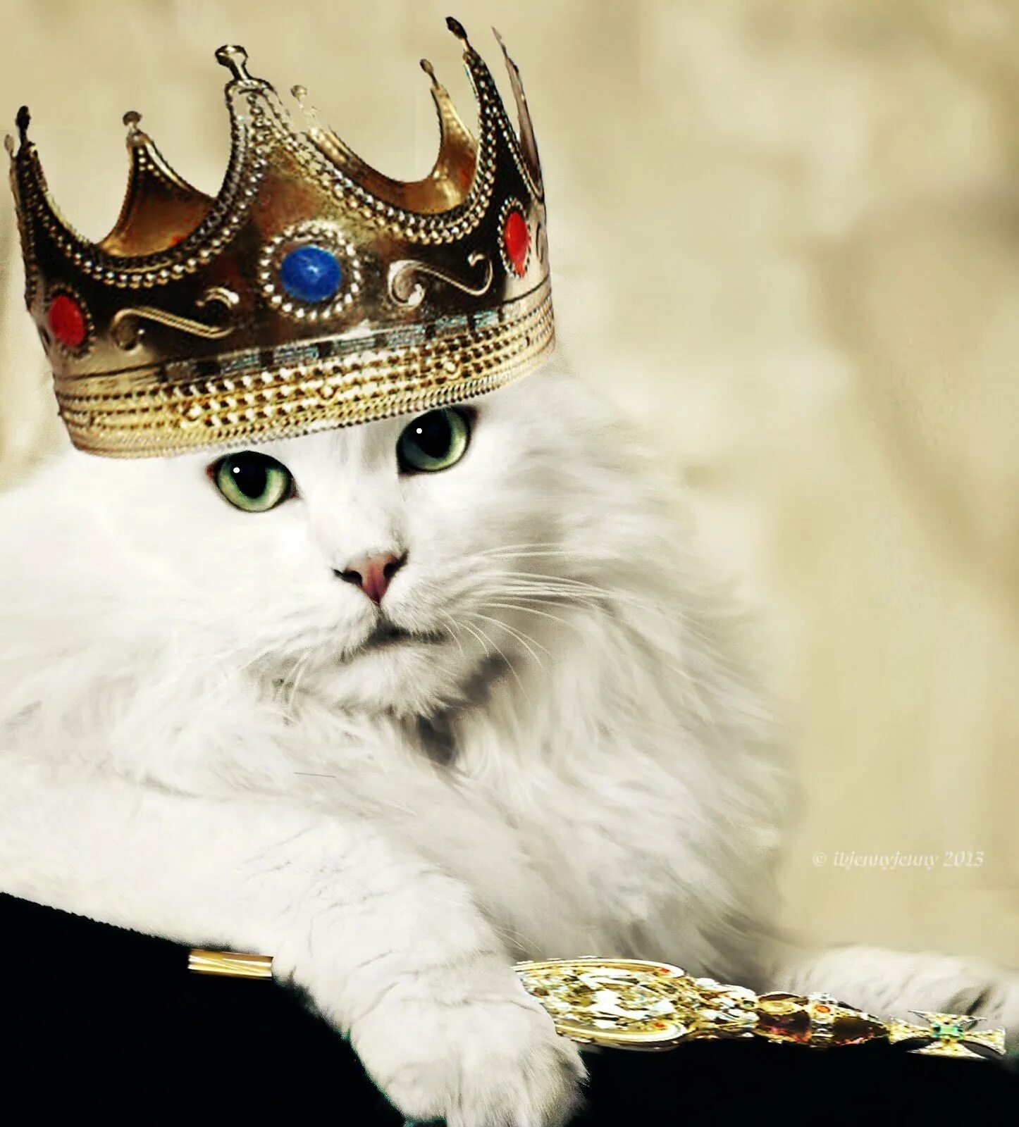 Кошечки королевы. Коты-короли Tokuhiro Kawai. Кошка в короне. Кошка с короной на голове.