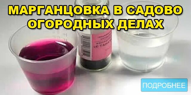 Марганцовка для огорода. Слабый раствор марганцовки. Марганцовка 5%. 3% Раствор марганцовки. Чайная ложка грамм марганцовки в чайной