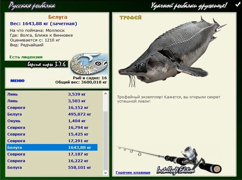 скорость маха в км/ч. ил-96 технические характеристики. сколько весит маха. сколько весит маха. грузоподъёмность 20 футового морского контейнера.
