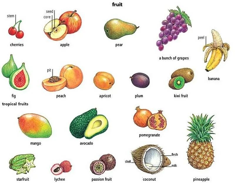 Фрукты на английском. Название фруктов на англ. Фрукты на английском для детей. Название фруктов и ягод.